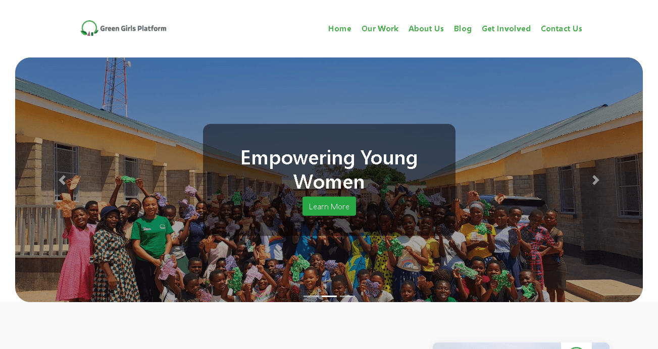 NGO website